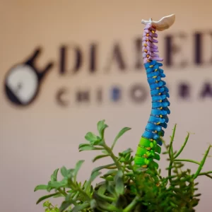 signal mountain chiropractor